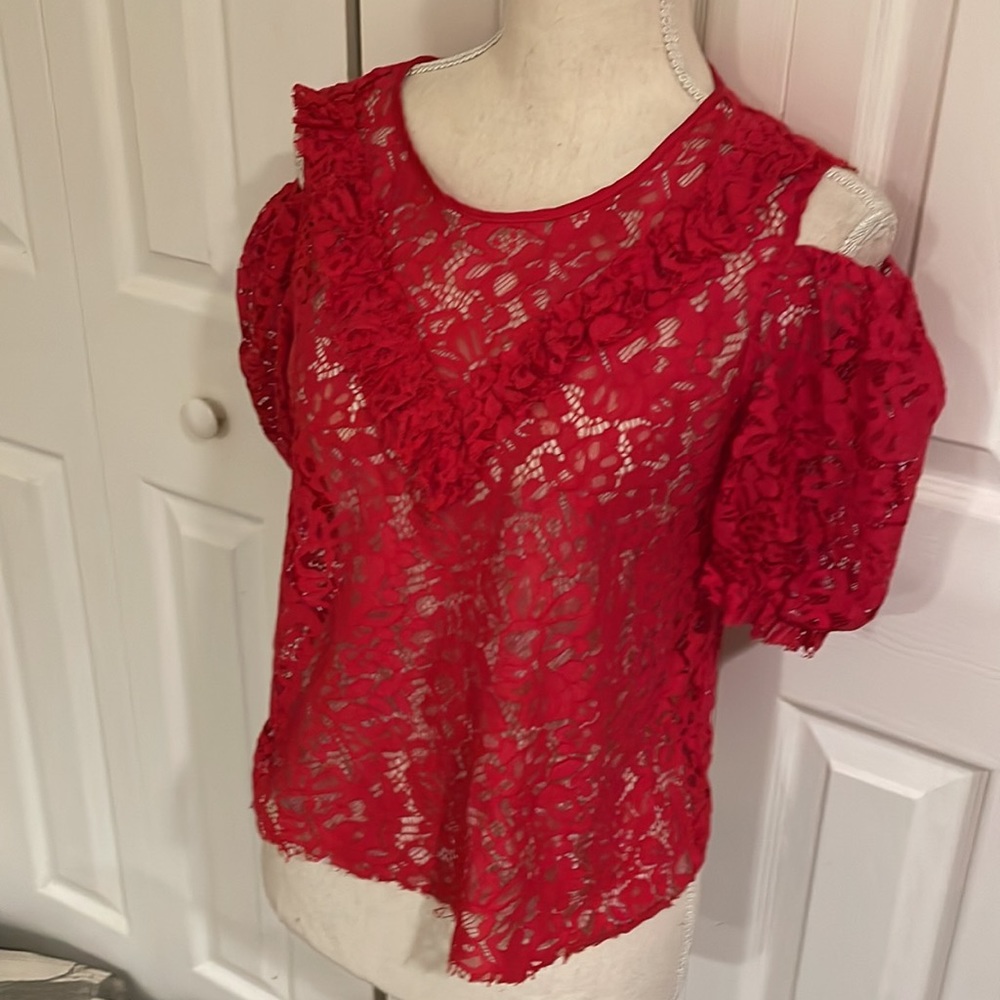 Zara LAce Top - Picture 7 of 10